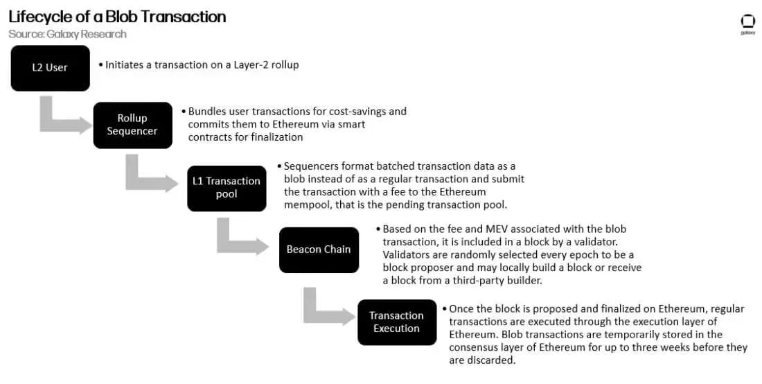 life cycle of blob transaction.webp