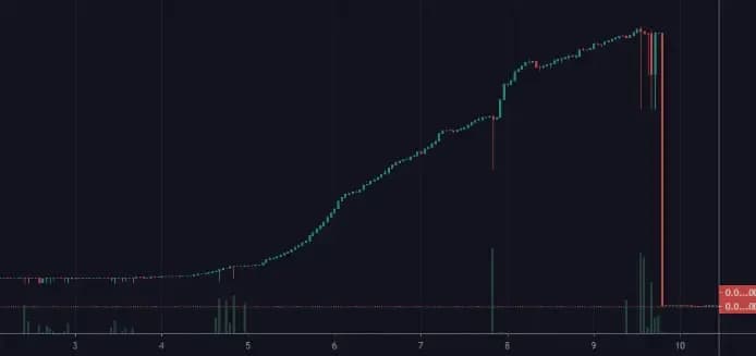 crypto rug pull